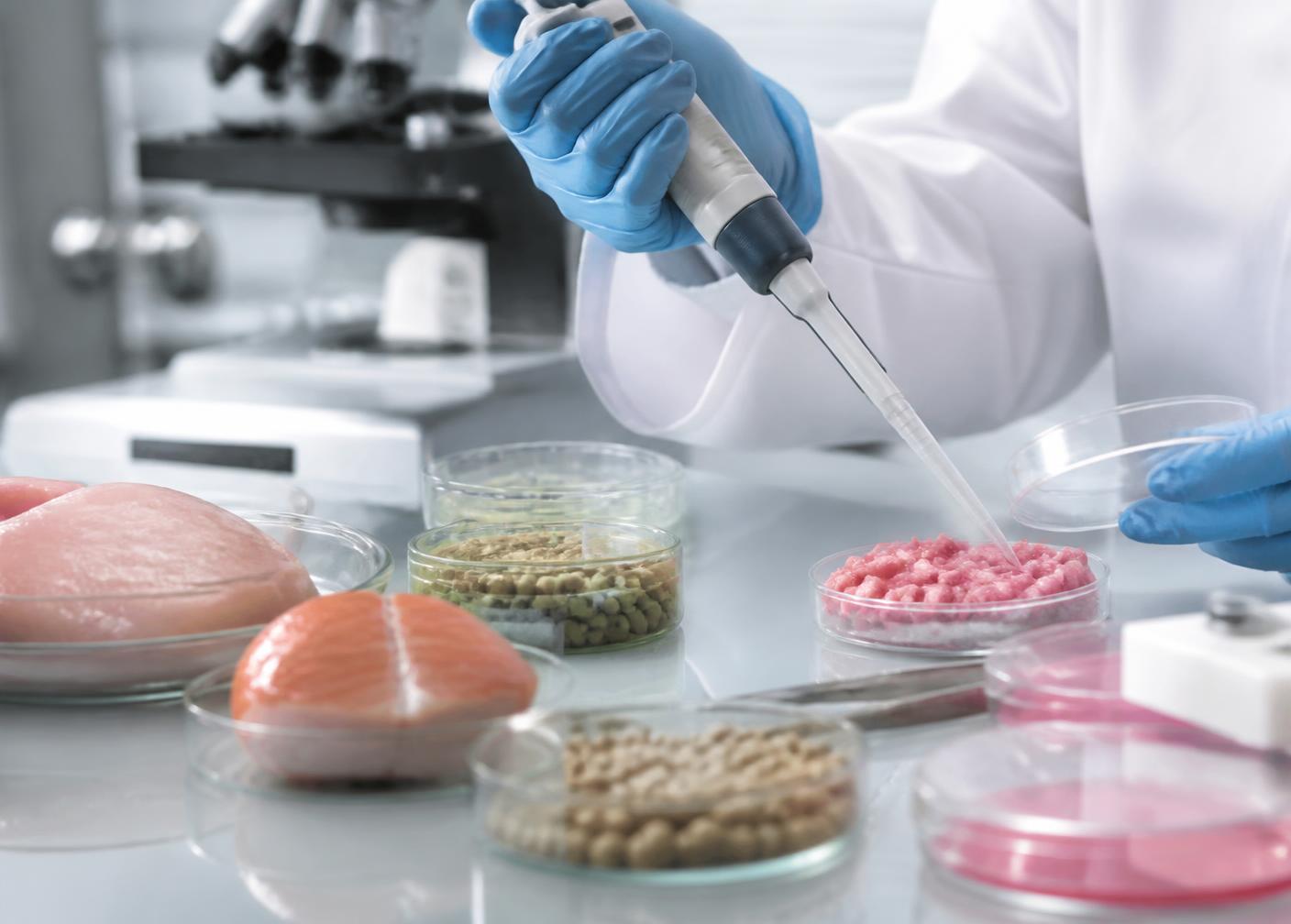 Laboratory technician verifying ingredient samples during a certification audit